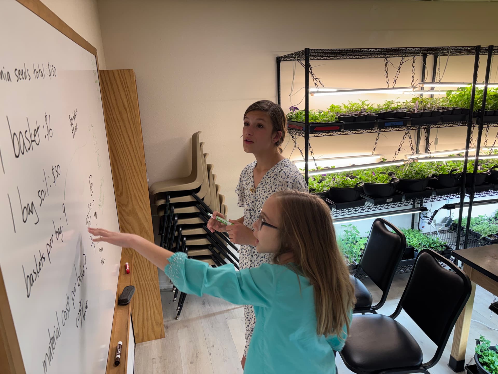 Students planning at a whiteboard with seedlings nearby