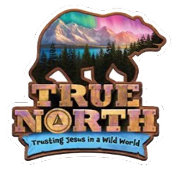 True North - Trusting Jesus in a Wild World
